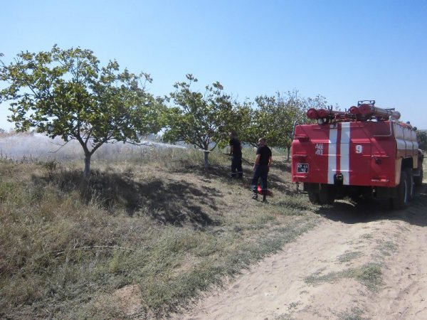 Пожежі в екосистемах: вогнеборці 22 рази гасили сухостій та 1 раз лісову підстилку